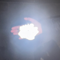Lumibuddy arc-en-ciel réfléchissant